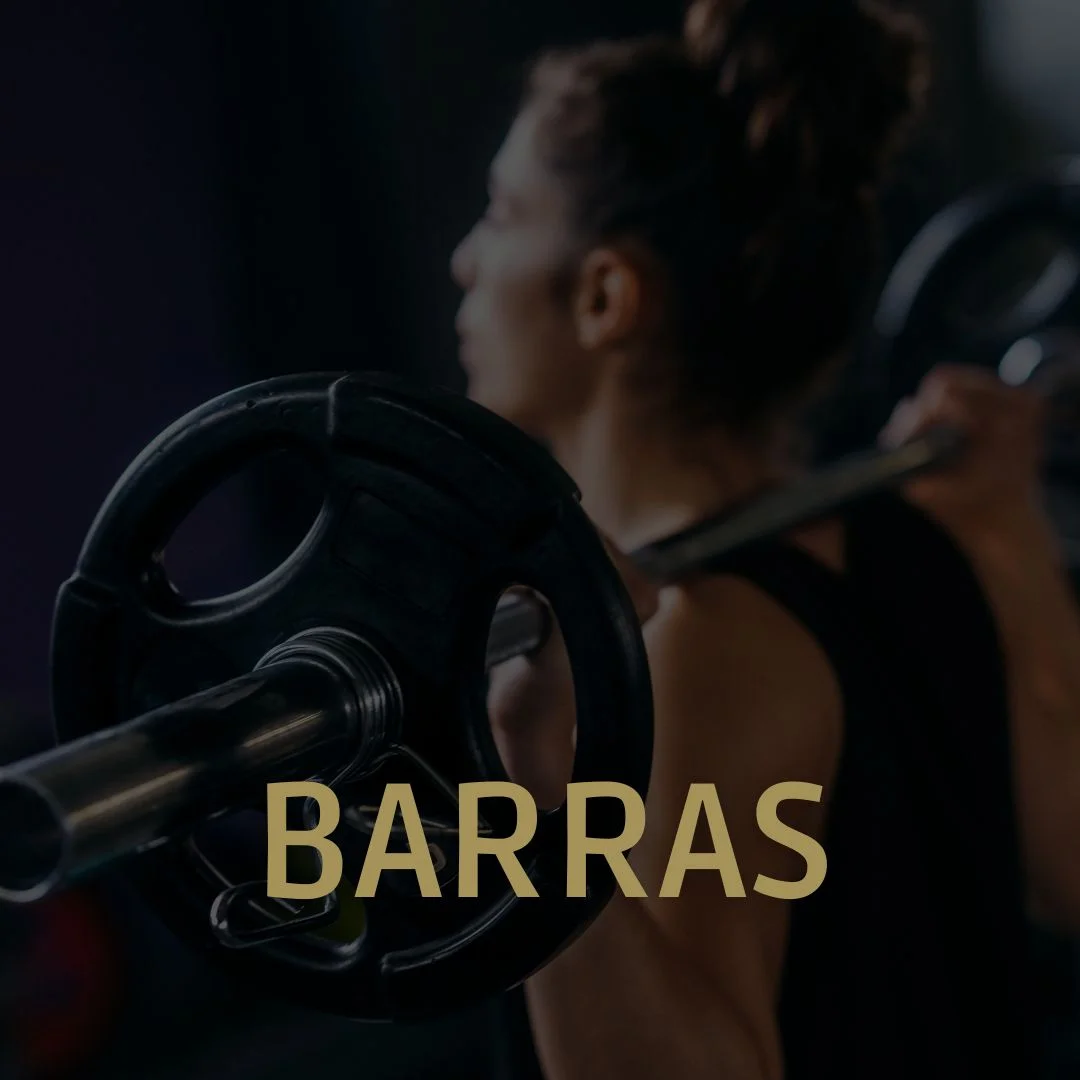 Variedad de barras olímpicas profesionales para musculación, incluyendo barra de 20kg y barra Z.